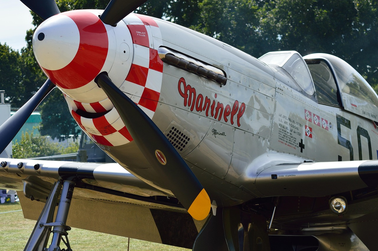 How Rosalind Franklin's Photo 51 Revealed The Structure Of Dna