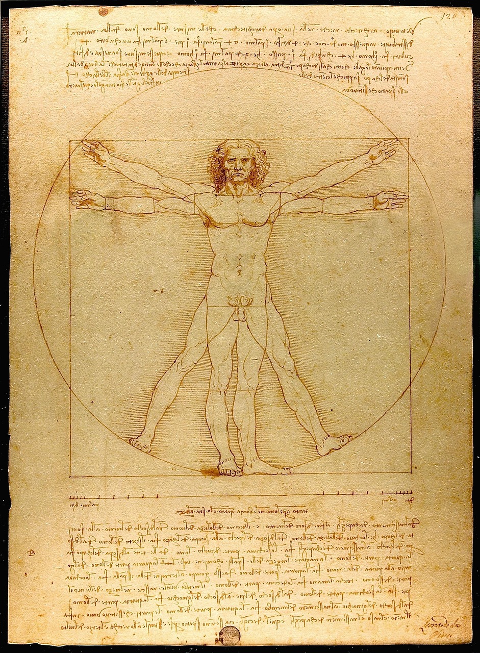 Leonardo Da Vinci’s Anatomical Drawings And Their Influence On Modern Medicine
